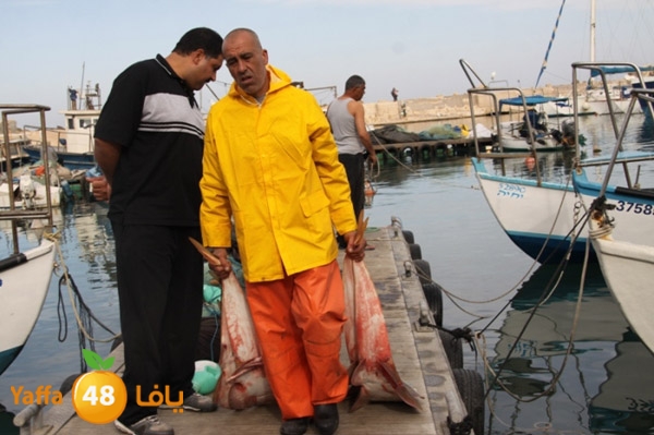 sayyadnewyaffa3 (42).JPG